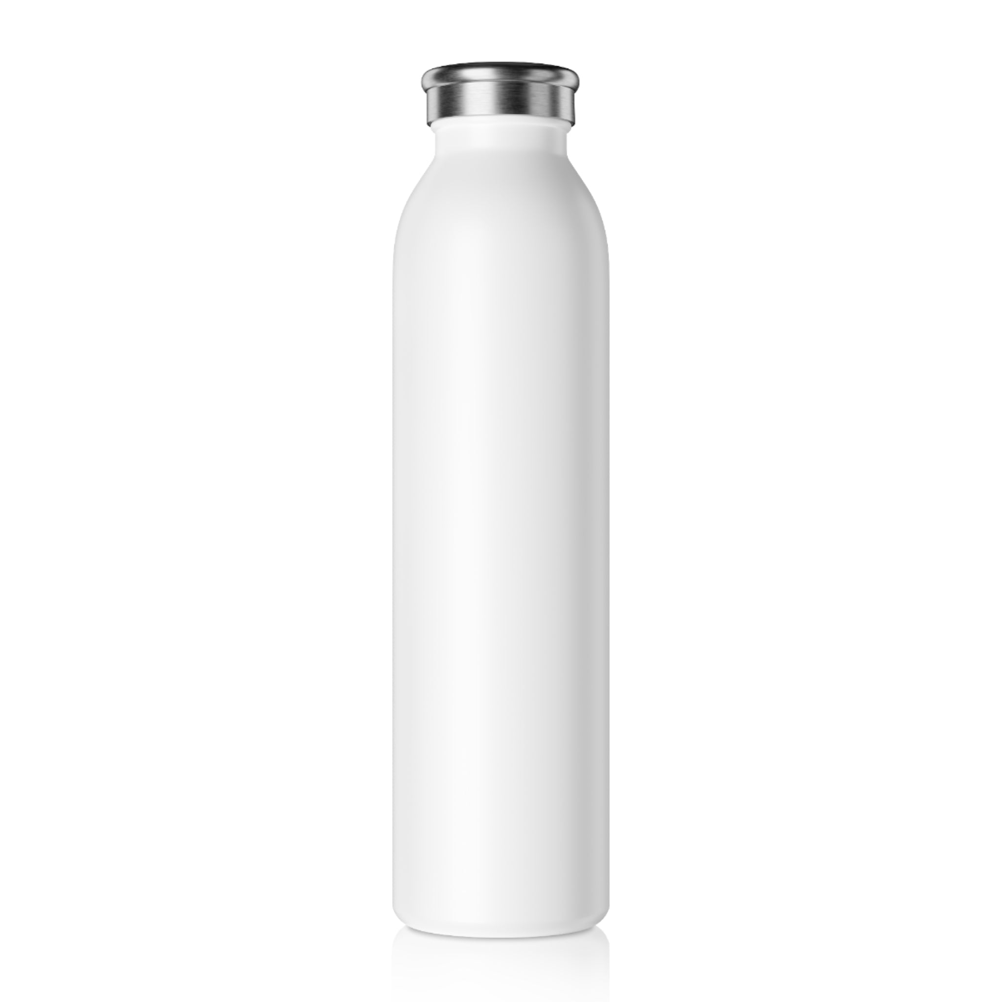 Arctic Story House Slim Water Bottle — Northern Lights Cabin Stainless Flask